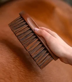 Waldhausen Langhaarbürste HardWood Discount
