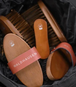 Waldhausen Langhaarbürste HardWood Discount