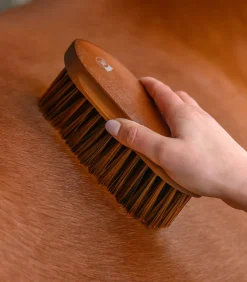 Waldhausen Langhaarbürste HardWood Discount