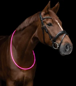 Waldhausen LED Leuchthalsring Discount