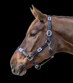 Waldhausen Lederhalfter Polo schwarz Outlet