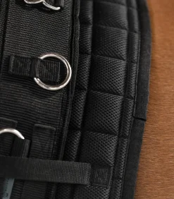 Waldhausen Longiergurt Supersoft schwarz