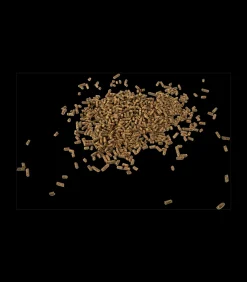 Waldhausen Magnesium forte - Für mehr Ausgeglichenheit, 1 kg New