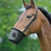 Waldhausen Maulkorb, Pony Sale