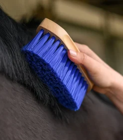 Waldhausen Mähnenbürste blau Discount