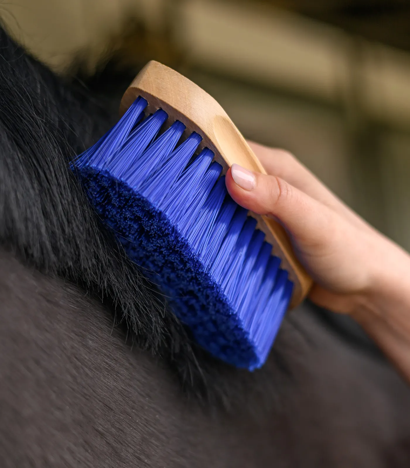 Waldhausen Mähnenbürste blau Discount