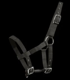 Waldhausen Mini-Shetty Halfter