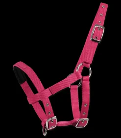 Waldhausen Mini-Shetty Halfter