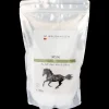 Waldhausen MSM - Für Fell, Gelenke, Haut und Horn, 1 kg Online