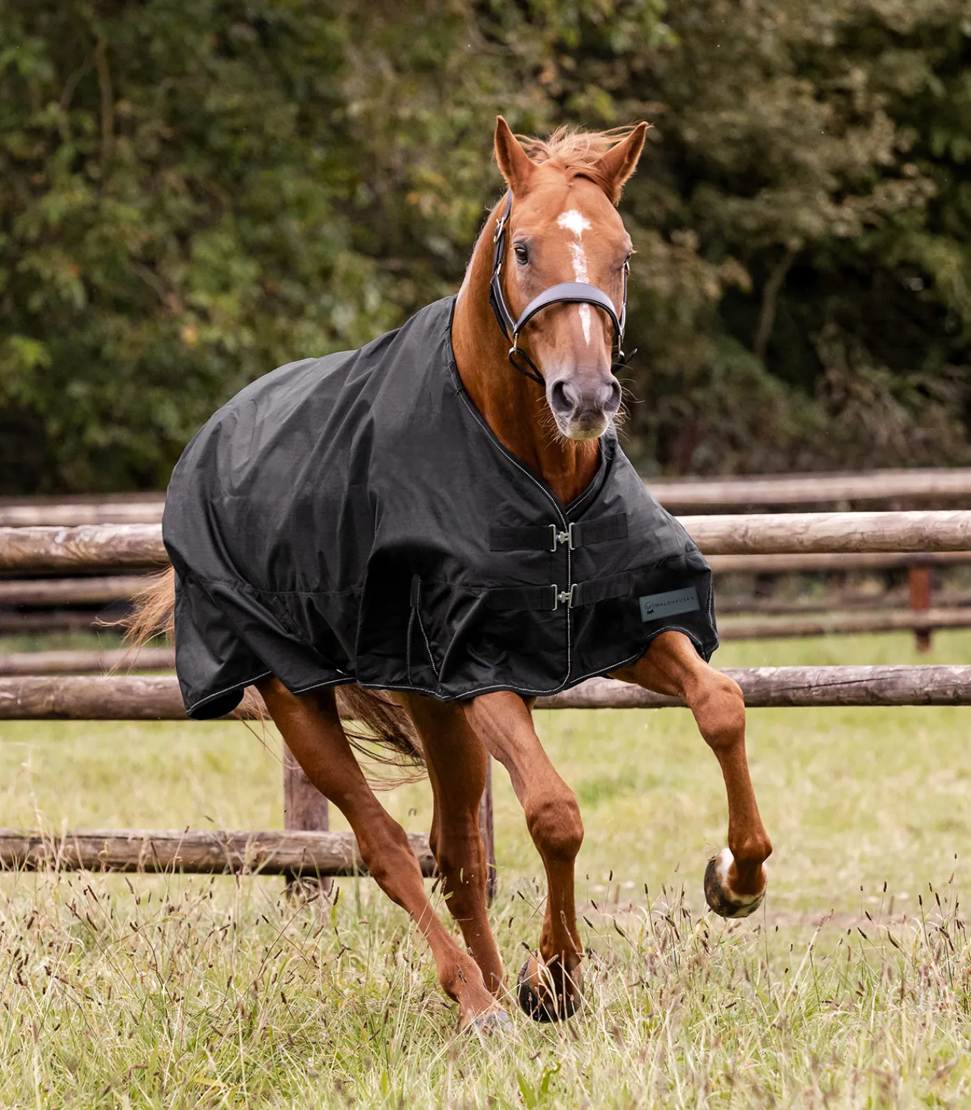 Waldhausen NORDIC Outdoordecke, Fleece Online
