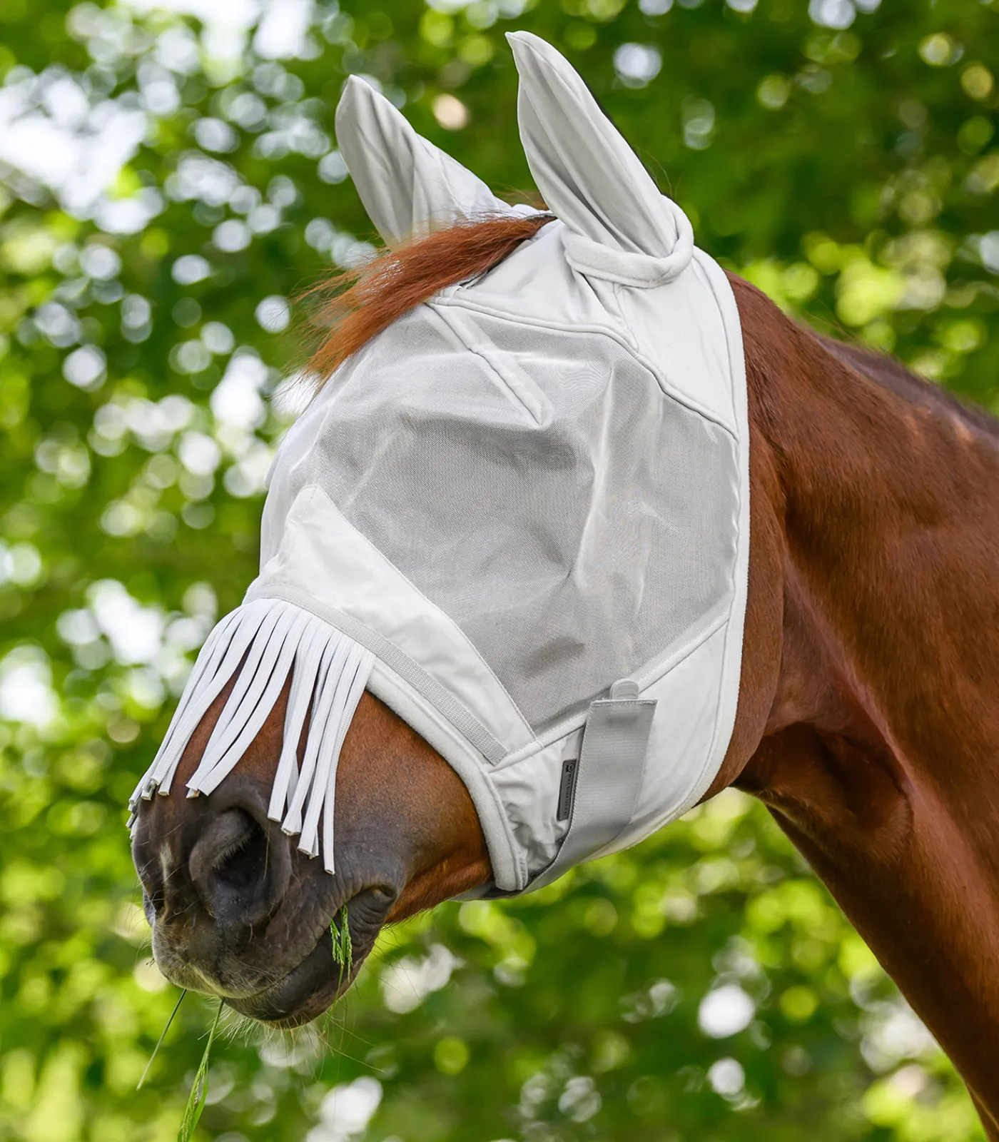 Waldhausen PREMIUM Fliegenmaske mit Ohrenschutz und Nasenfransen Discount