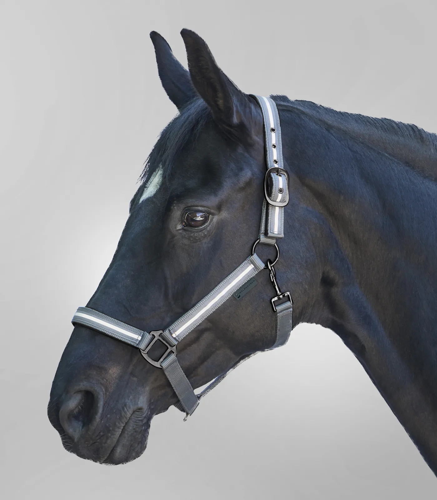 Waldhausen REFLEX Halfter Stripe grau Outlet