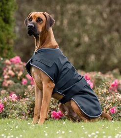 Waldhausen Regen-Hundedecke Discount