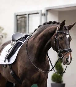 Waldhausen Schabracke Classic Sale
