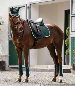 Waldhausen Schabracke Competition Best