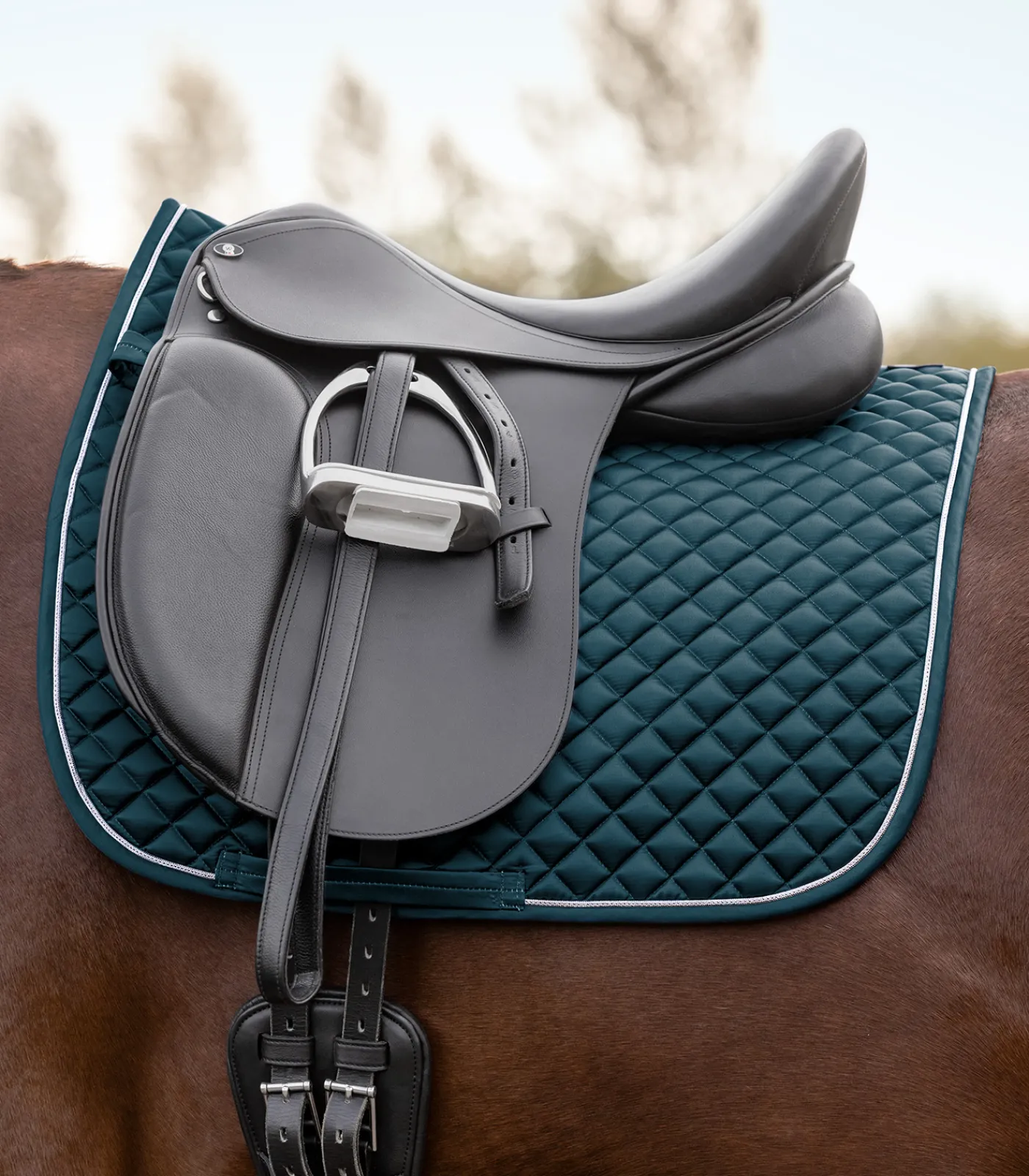 Waldhausen Schabracke Felix Glam Outlet