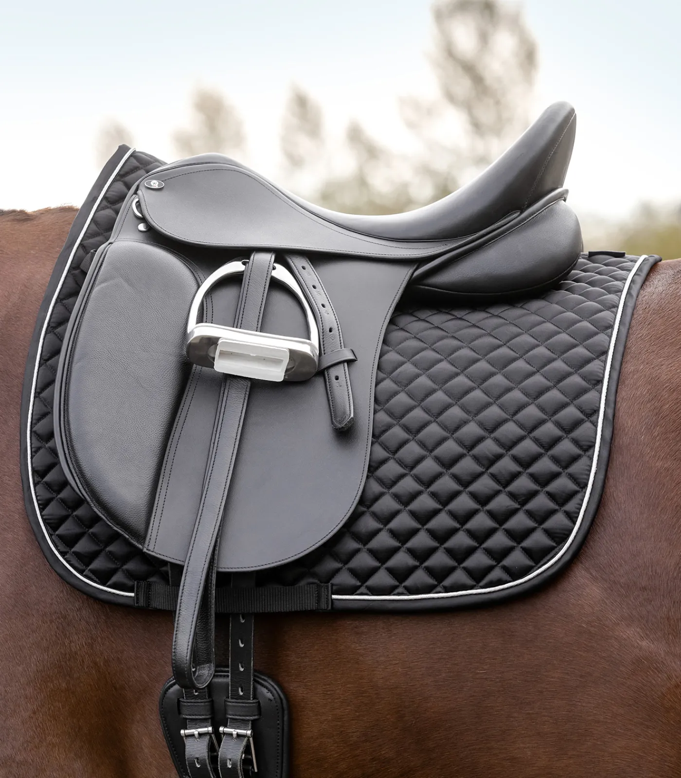 Waldhausen Schabracke Felix Glam Outlet