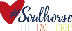 #soulhorse Soulhorse Lili’s #Pony-Schaumbad Sale