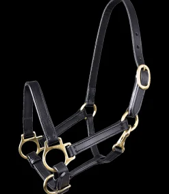 STAR Leder Fohlenhalfter New