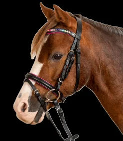 STAR Trensenzaum Pinky schwarz Online