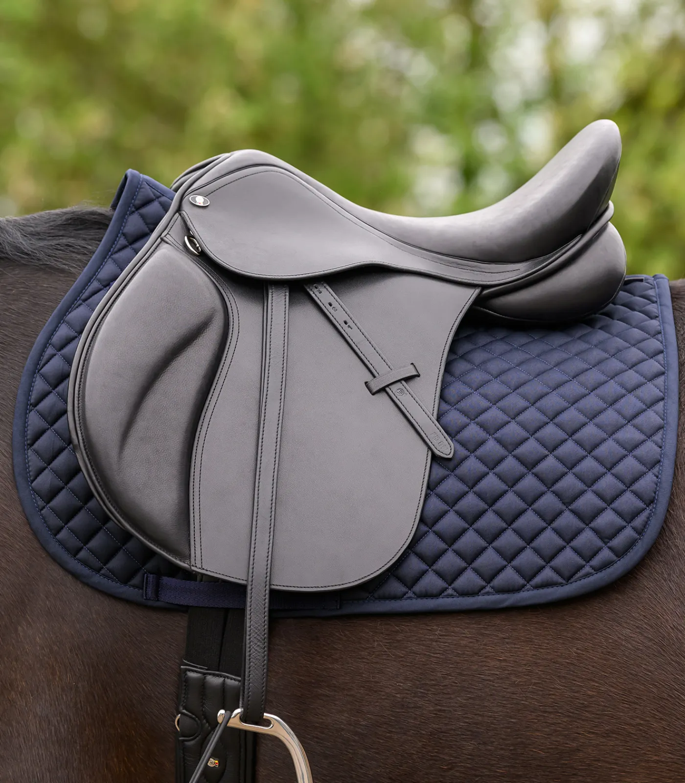 Waldhausen Vielseitigkeitssattel Premium, Leder schwarz Outlet