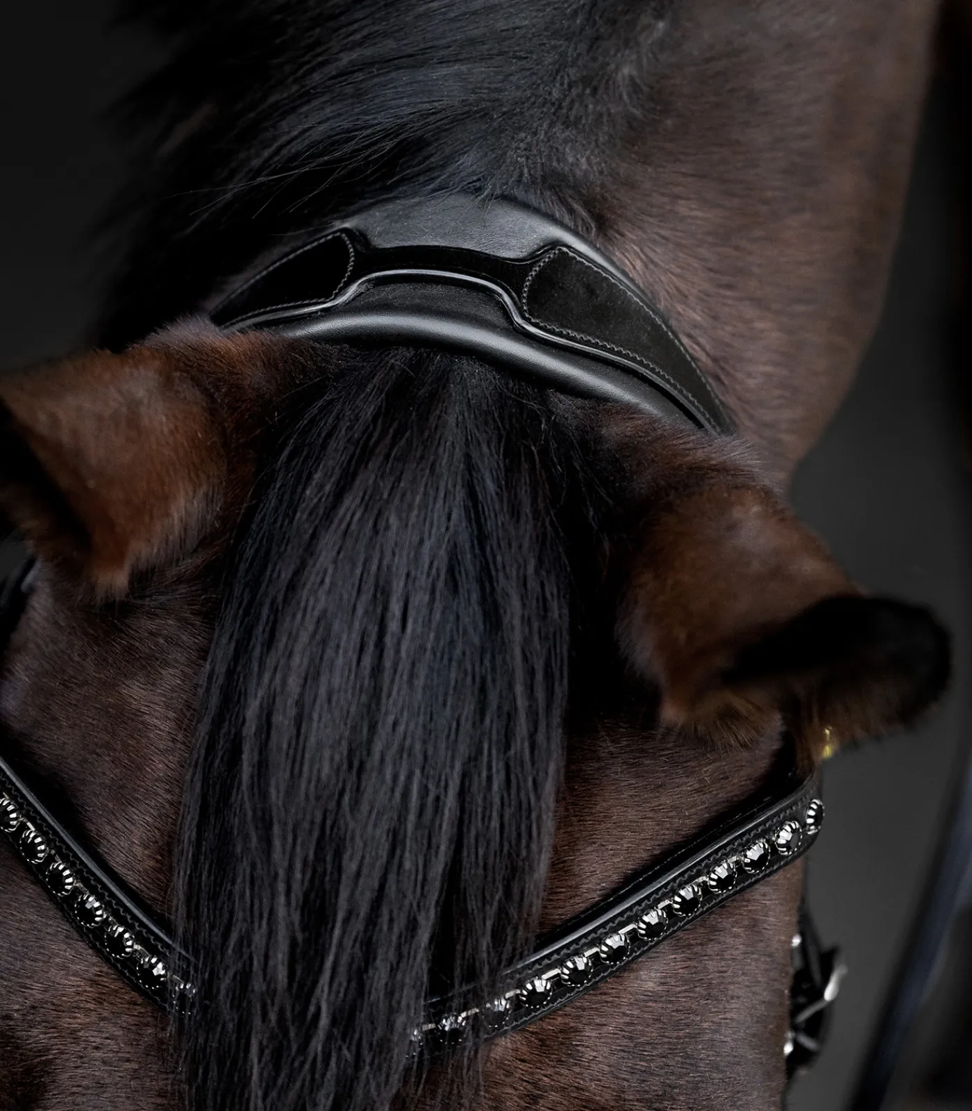 Waldhausen S-Line Lacktrensenzaum Blackshine schwarz Outlet