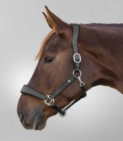 Waldhausen S-Line Lederhalfter Anatomic Hot