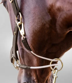 Waldhausen S-Line Lederhalfter Royal New